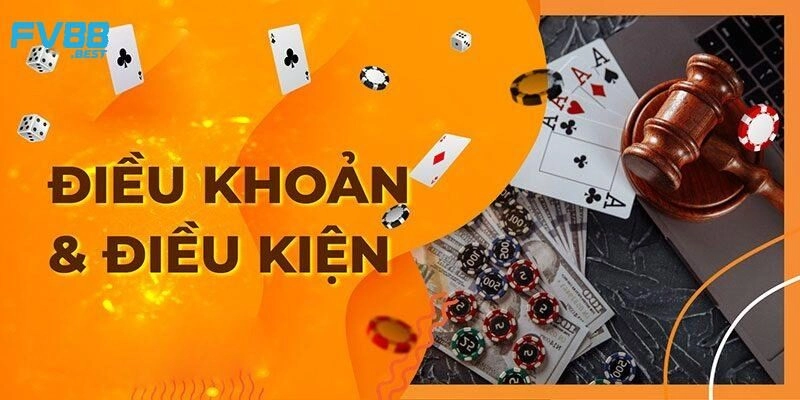 Quy định về điều khoản điều kiện cần nắm rõ