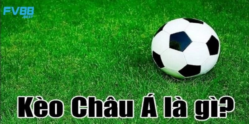 Cách đọc kèo châu Á siêu dễ hiểu