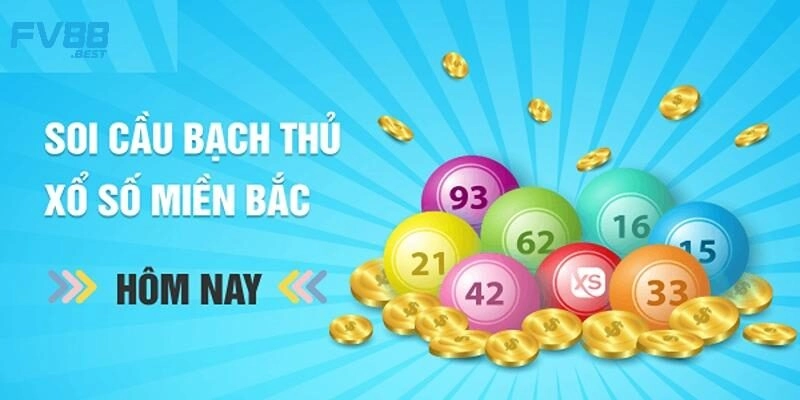 Cách đánh bạch thủ lô dựa vào soi cầu