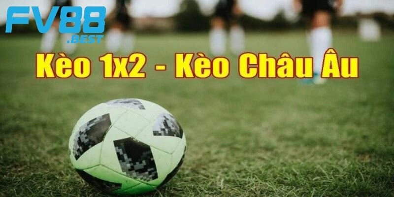 Những yếu tố ảnh hưởng đến tỷ lệ cược kèo châu Âu